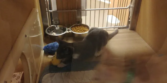 Banfield Pet Hospital 8