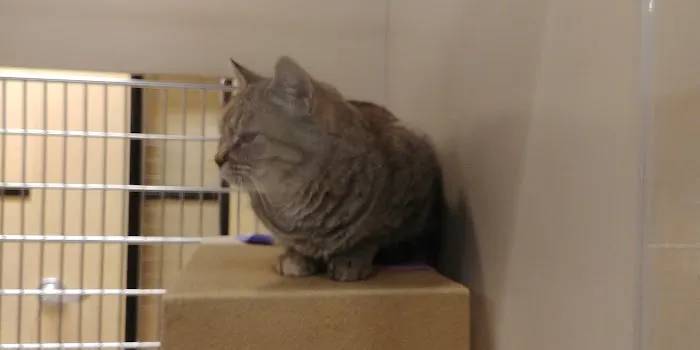 Banfield Pet Hospital 5