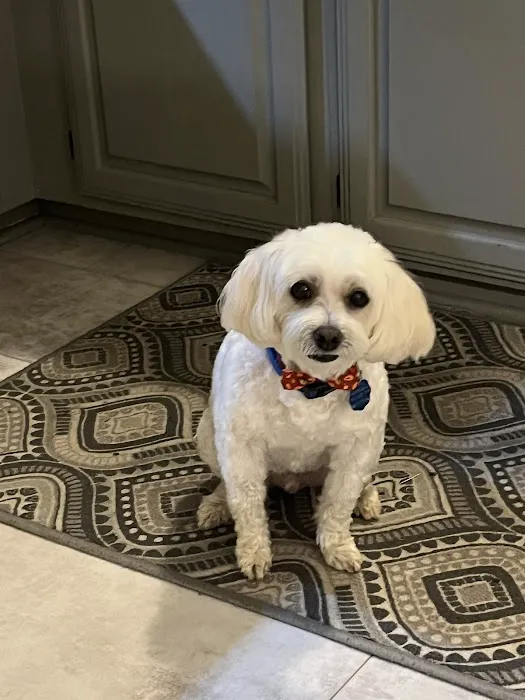 Banfield Pet Hospital 5