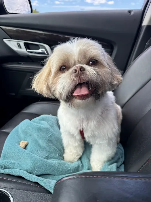 Banfield Pet Hospital 9