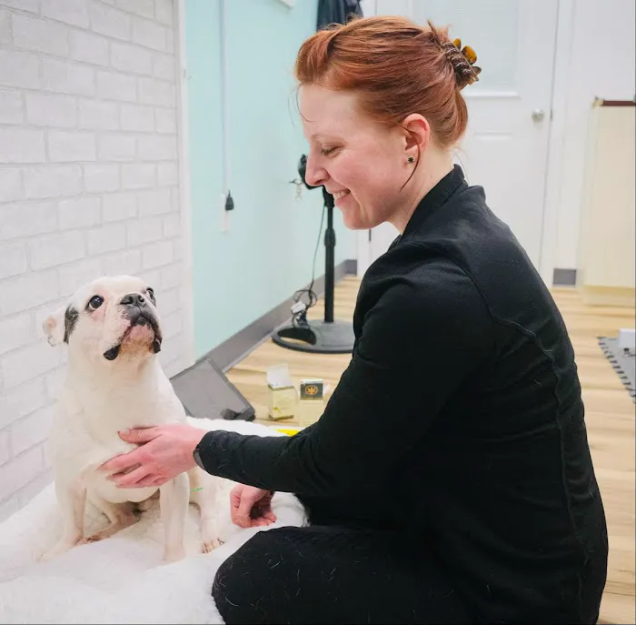 The Vital Spark: Veterinary Rehab and Acupuncture 12