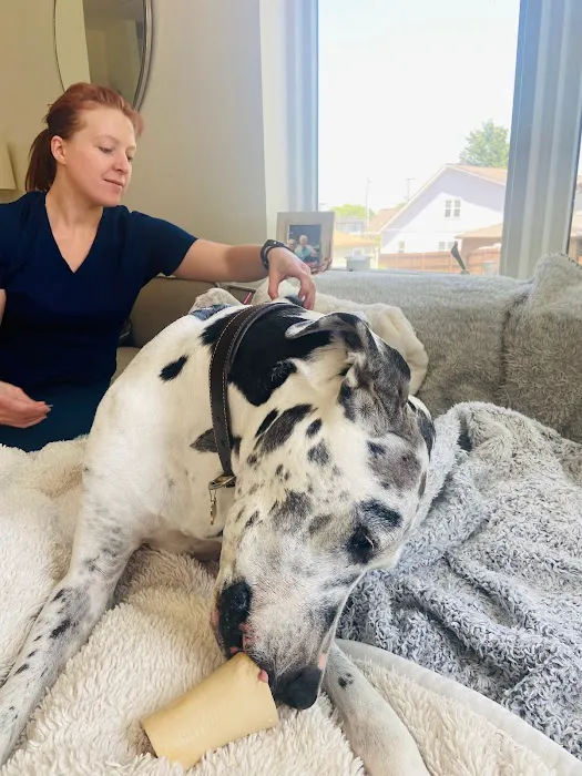 The Vital Spark: Veterinary Rehab and Acupuncture 12