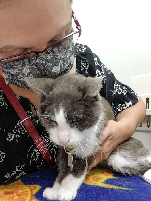 Blue Cross Pet Clinic 12