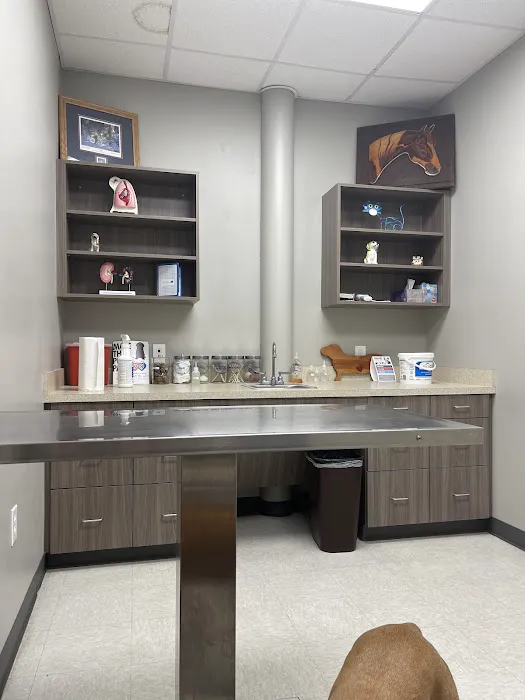 Blue Cross Pet Clinic 12