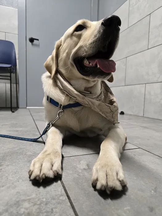 Callaghan Road Animal Hospital 7