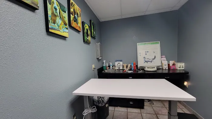 Callaghan Road Animal Hospital 5