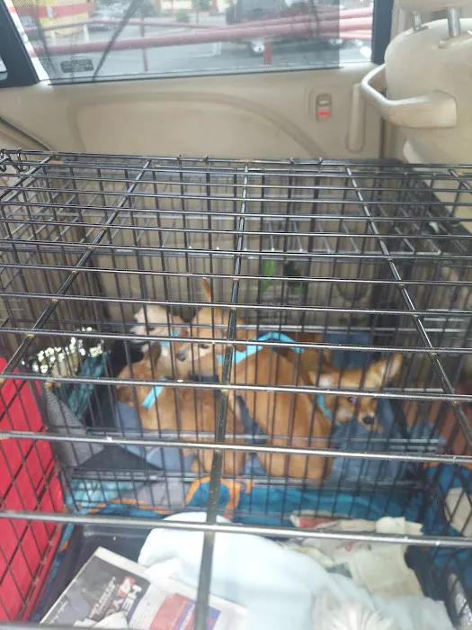 Callaghan Road Animal Hospital 3
