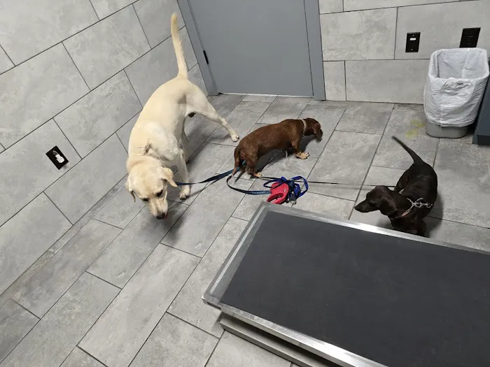 Callaghan Road Animal Hospital 8