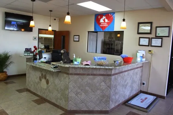 North Star Animal Hospital 10