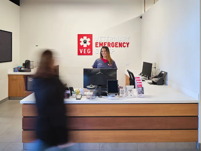 Veterinary Emergency Group 12
