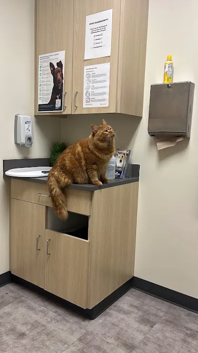Vetco Total Care Animal Hospital 4