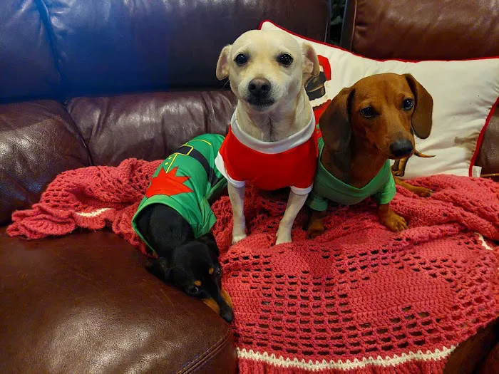 Vetco Total Care Animal Hospital 6