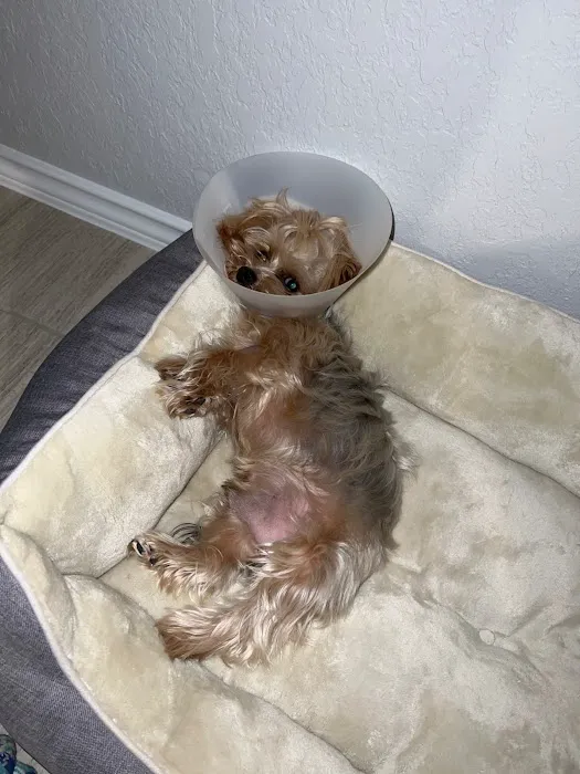 Vetco Total Care Animal Hospital 5