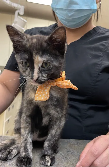 Pets First Veterinary Center 12