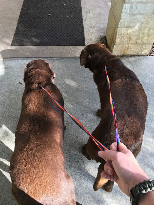 Pets First Veterinary Center: Wright Heather H DVM 12