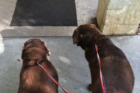 Pets First Veterinary Center: Wright Heather H DVM