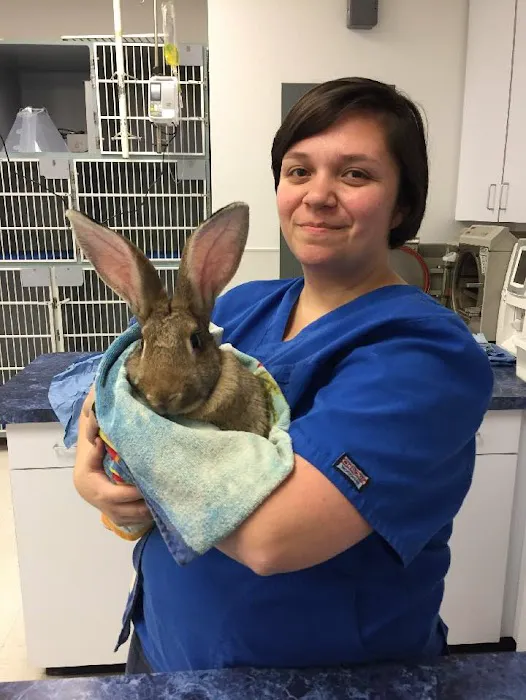 Texas Veterinary Hospitals 12