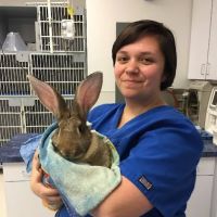 Texas Veterinary Hospitals ico