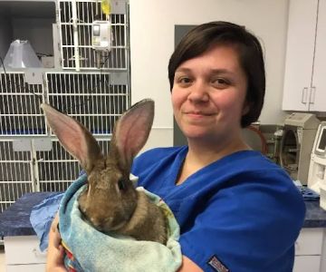 Texas Veterinary Hospitals