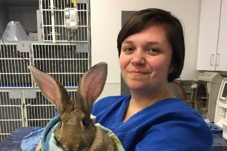 Texas Veterinary Hospitals
