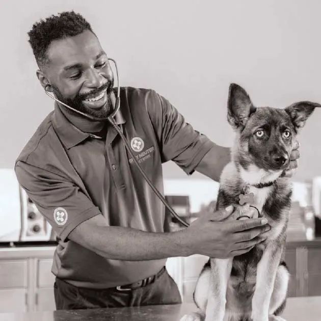 Spay Neuter Network 3