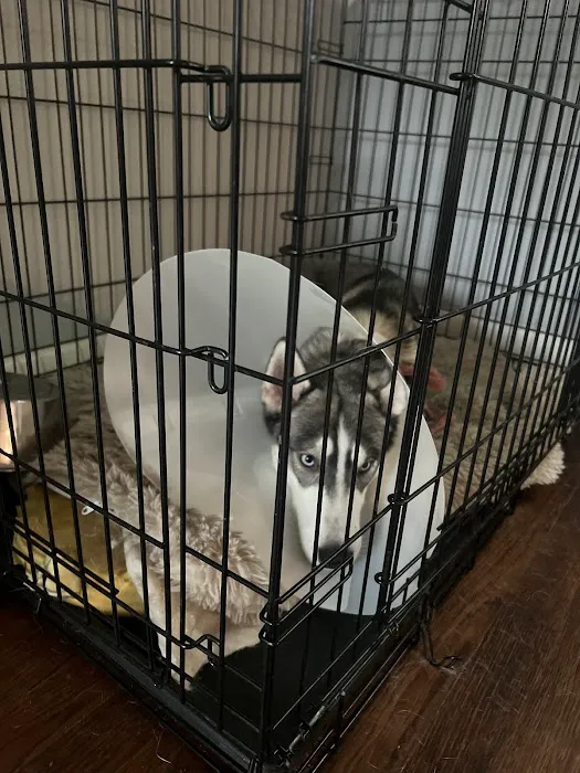 Spay Neuter Network 5
