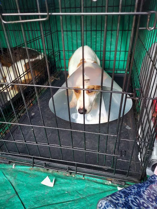 Pet Shotz Inc. 3