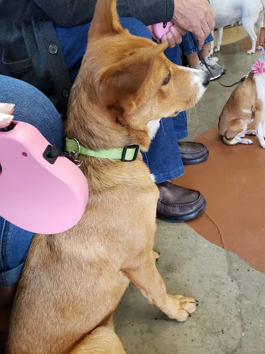 Pet Shotz Inc. 7