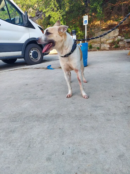 Pet Shotz Inc. 5