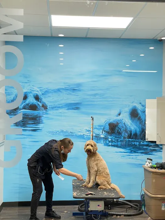 CityVet | Alamo Heights + Urgent Care 9