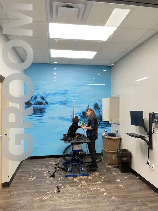 CityVet | Alamo Heights + Urgent Care 4