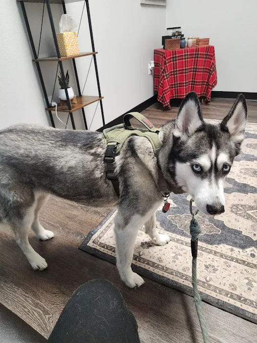 CityVet | Alamo Heights + Urgent Care 10