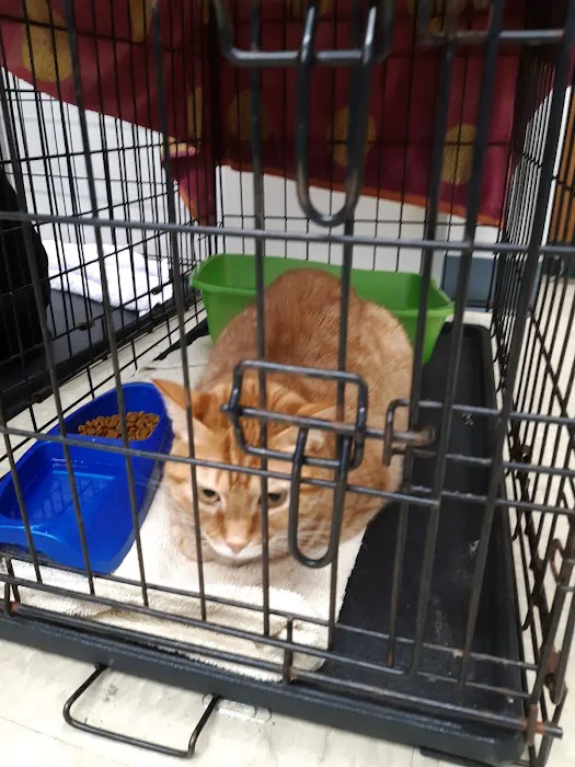 Alamo Heights Pet Clinic 12