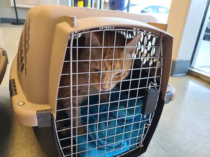 Alamo Heights Pet Clinic 12