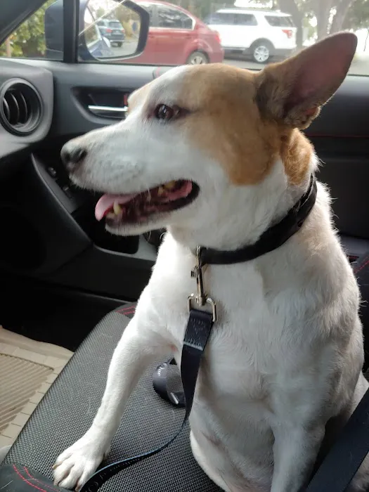 Oaks North Animal Hospital 8