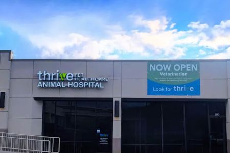 Thrive Pet Healthcare - Broadway