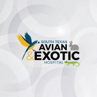 South Texas Avian & Exotic Hospital ico