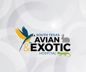 South Texas Avian & Exotic Hospital