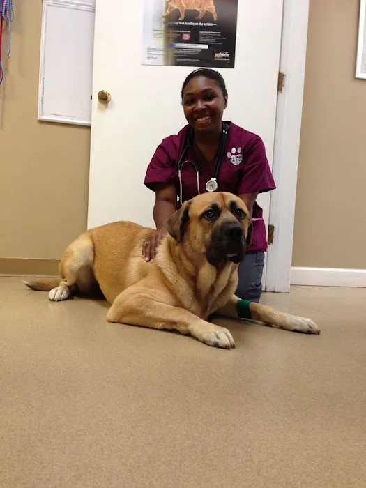 Four Paws Animal Hospital at Johns Creek 12