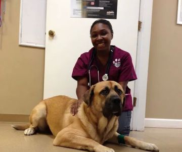Four Paws Animal Hospital at Johns Creek