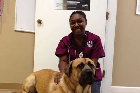Four Paws Animal Hospital at Johns Creek