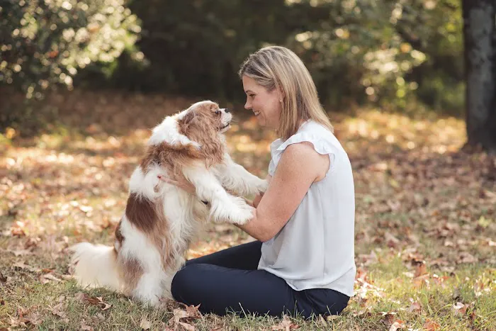 Four Paws Animal Hospital at Johns Creek 12