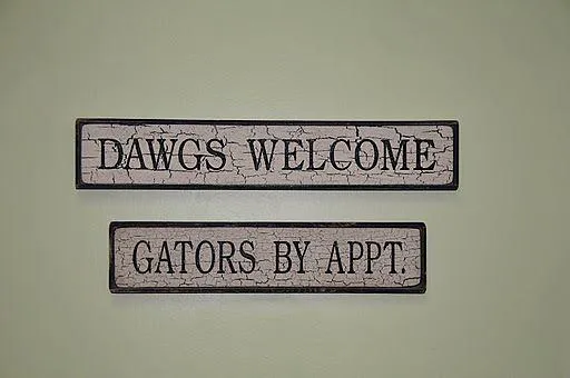 Four Paws Animal Hospital at Johns Creek 12