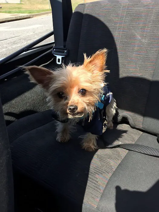Westside Animal Hospital- Lisa Walker DVM 12