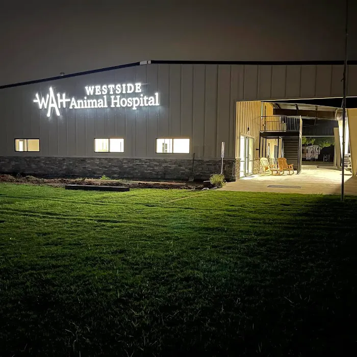 Westside Animal Hospital 2