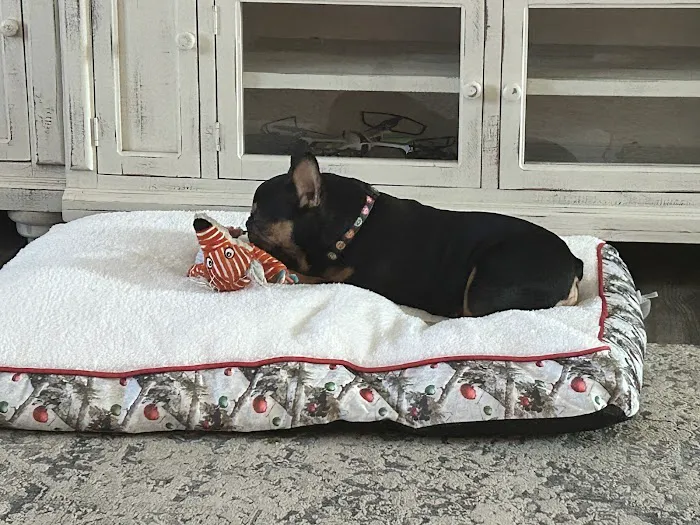 Westside Animal Hospital 1