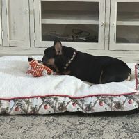 Westside Animal Hospital ico