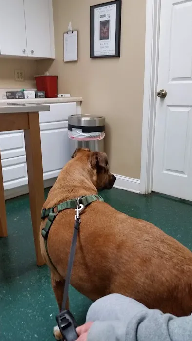 Pet Vet Clinic 4