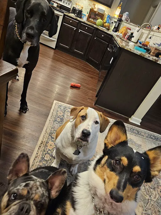 Bartow Animal Hospital 6