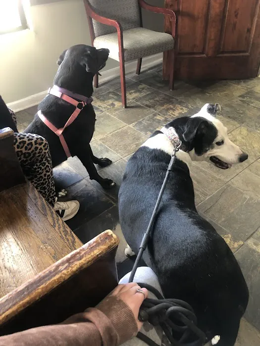 Bartow Animal Hospital 10